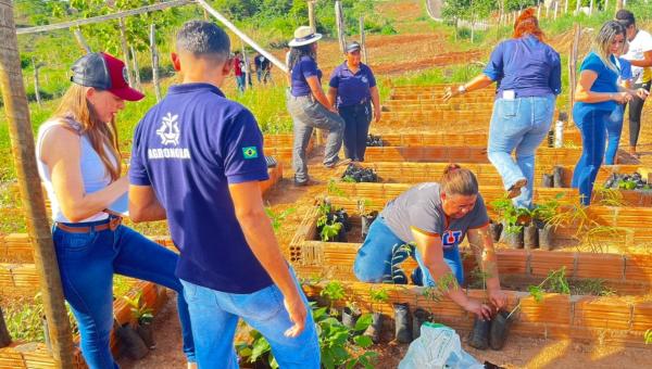 Viveiro Municipal Sonho Verde começa a se tornar realidade em Pequizeiro