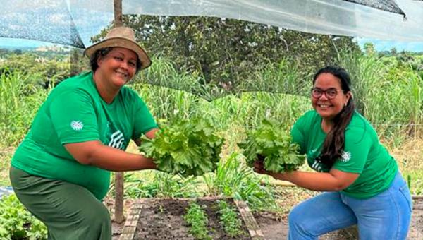 SENAR promove curso de hortaliças por meio da AAFAPRUP em parceria com a Prefeitura de Pequizeiro
