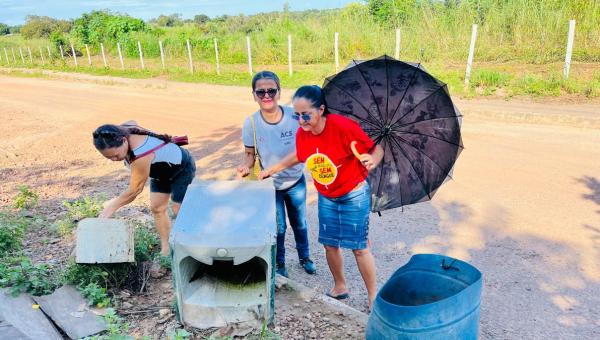 Prefeitura de Pequizeiro, por meio da Secretaria Municipal de Saúde e da equipe de Endemias, realiza arrastão contra a dengue