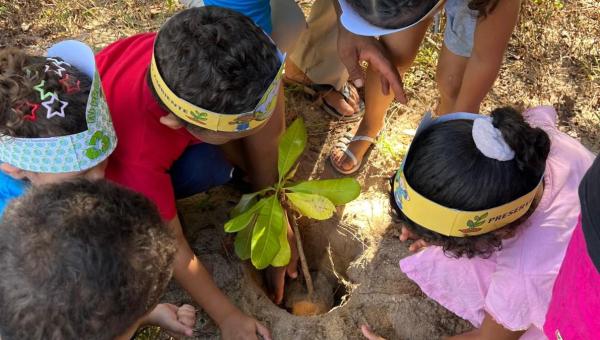 Cmei Mãe Tereza Hilário Ribeiro realiza ação de plantio de mudas e coleta de lixo às margens do Rio Barreira em parceria com a Diretoria Municipal de Meio Ambiente