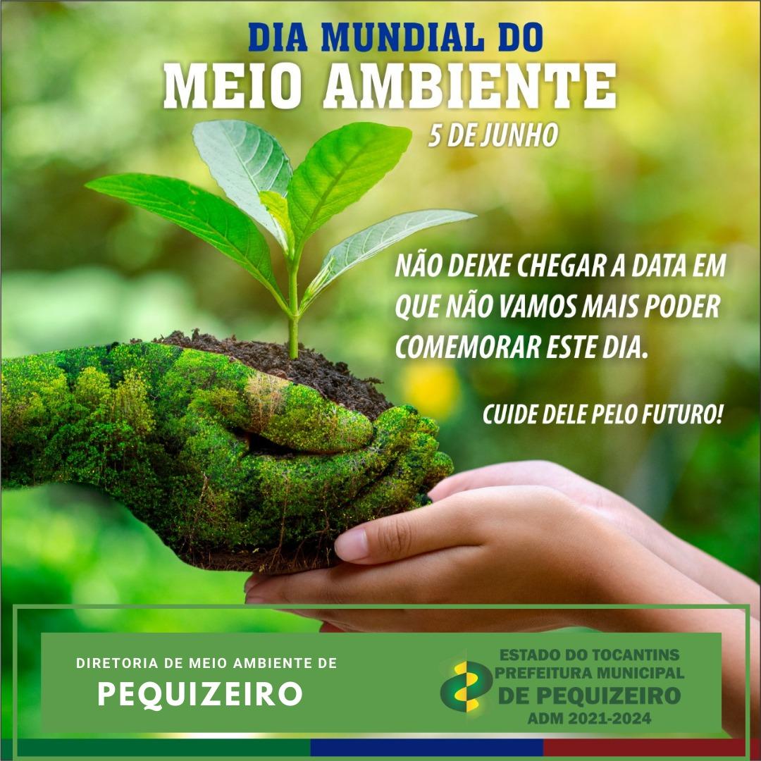DIA MUNDIAL DO MEIO AMBIENTE