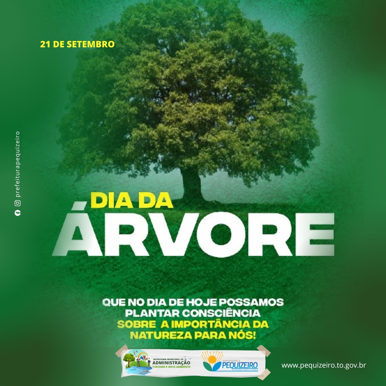 DIA DA ÁRVORE