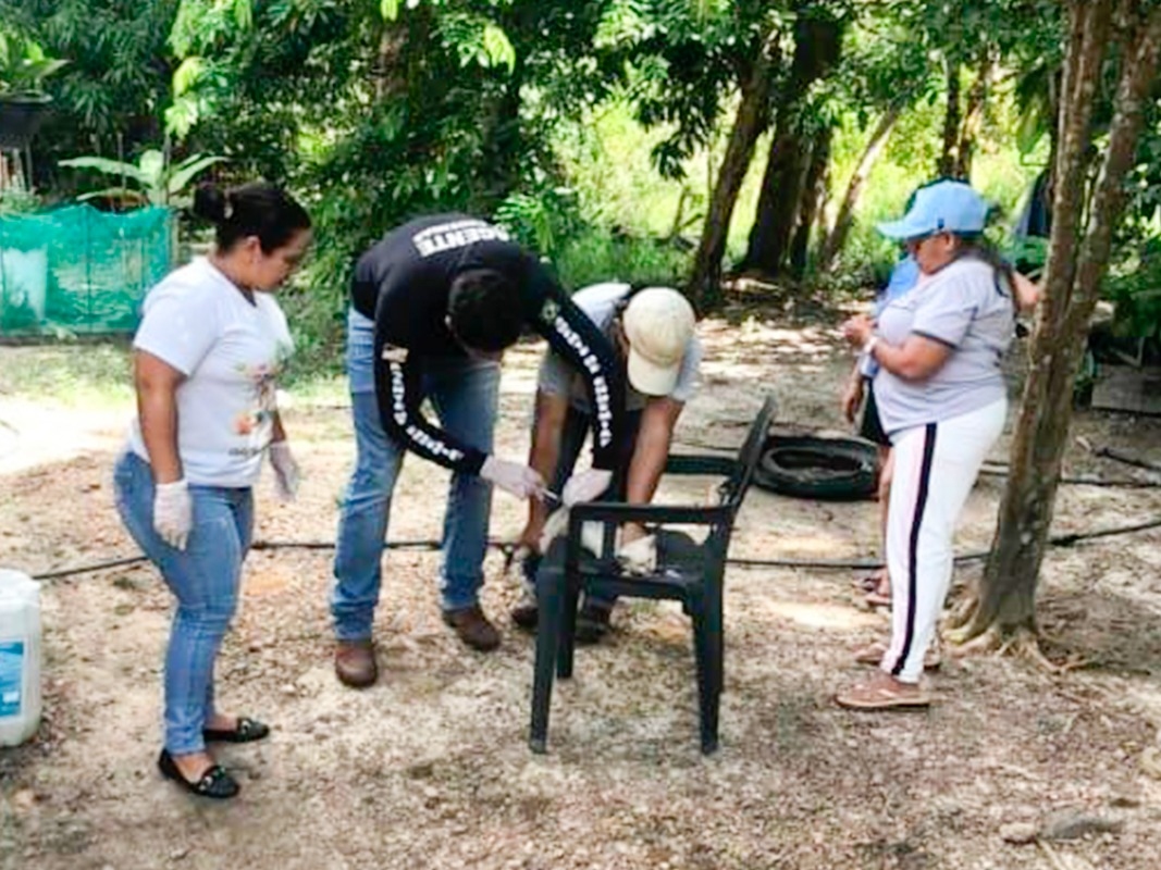 Campanha Antirrábica 2025 — Equipe de Endemias em Ação!
