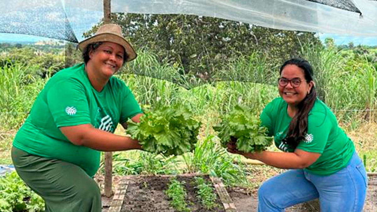 SENAR promove curso de hortaliças por meio da AAFAPRUP em parceria com a Prefeitura de Pequizeiro