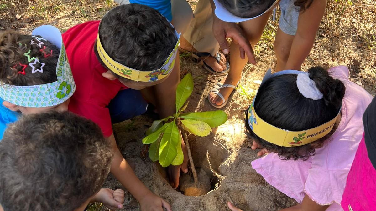 Cmei Mãe Tereza Hilário Ribeiro realiza ação de plantio de mudas e coleta de lixo às margens do Rio Barreira em parceria com a Diretoria Municipal de Meio Ambiente